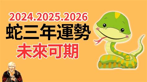 佛匾 2025年生肖運程蛇